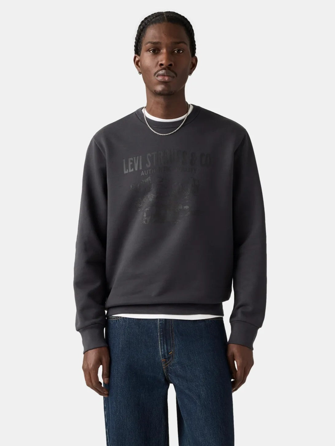 Levi's Men's Standard Fit Graphic Crewneck Sweatshirt