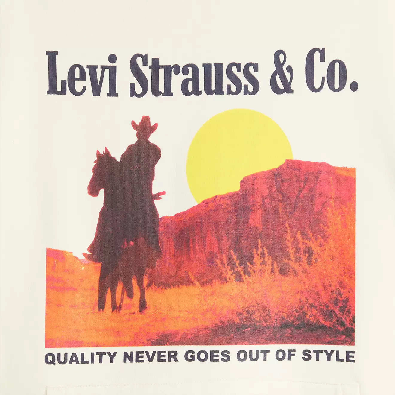 Sweat à capuche graphique décontracté Levi's pour homme