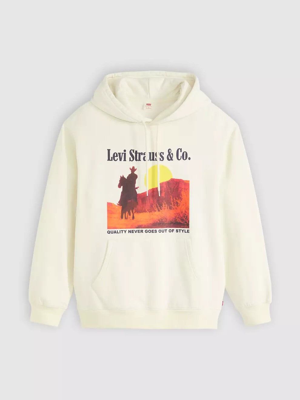 Sweat à capuche graphique décontracté Levi's pour homme