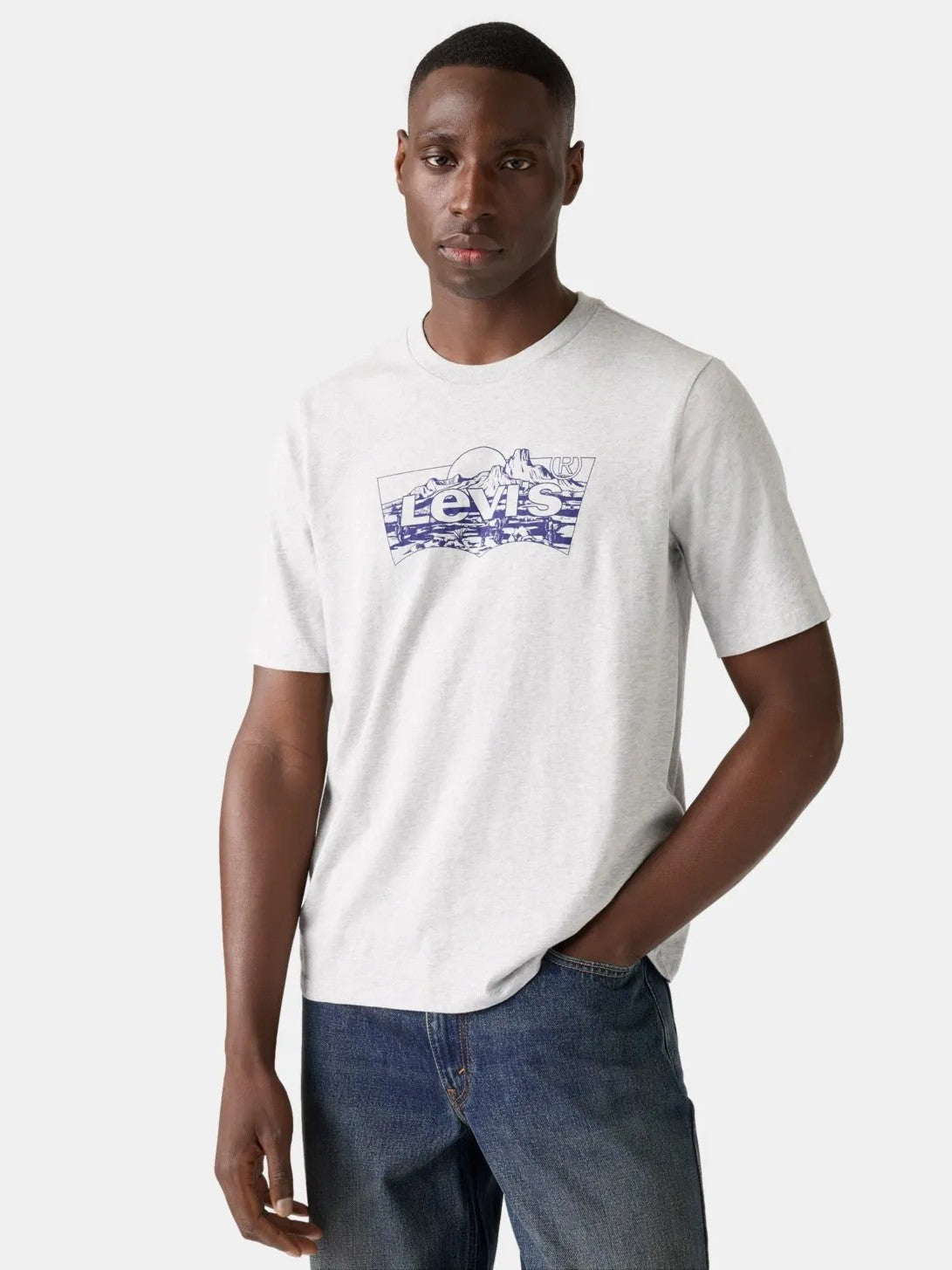 Levi's Men's Graphic Tee