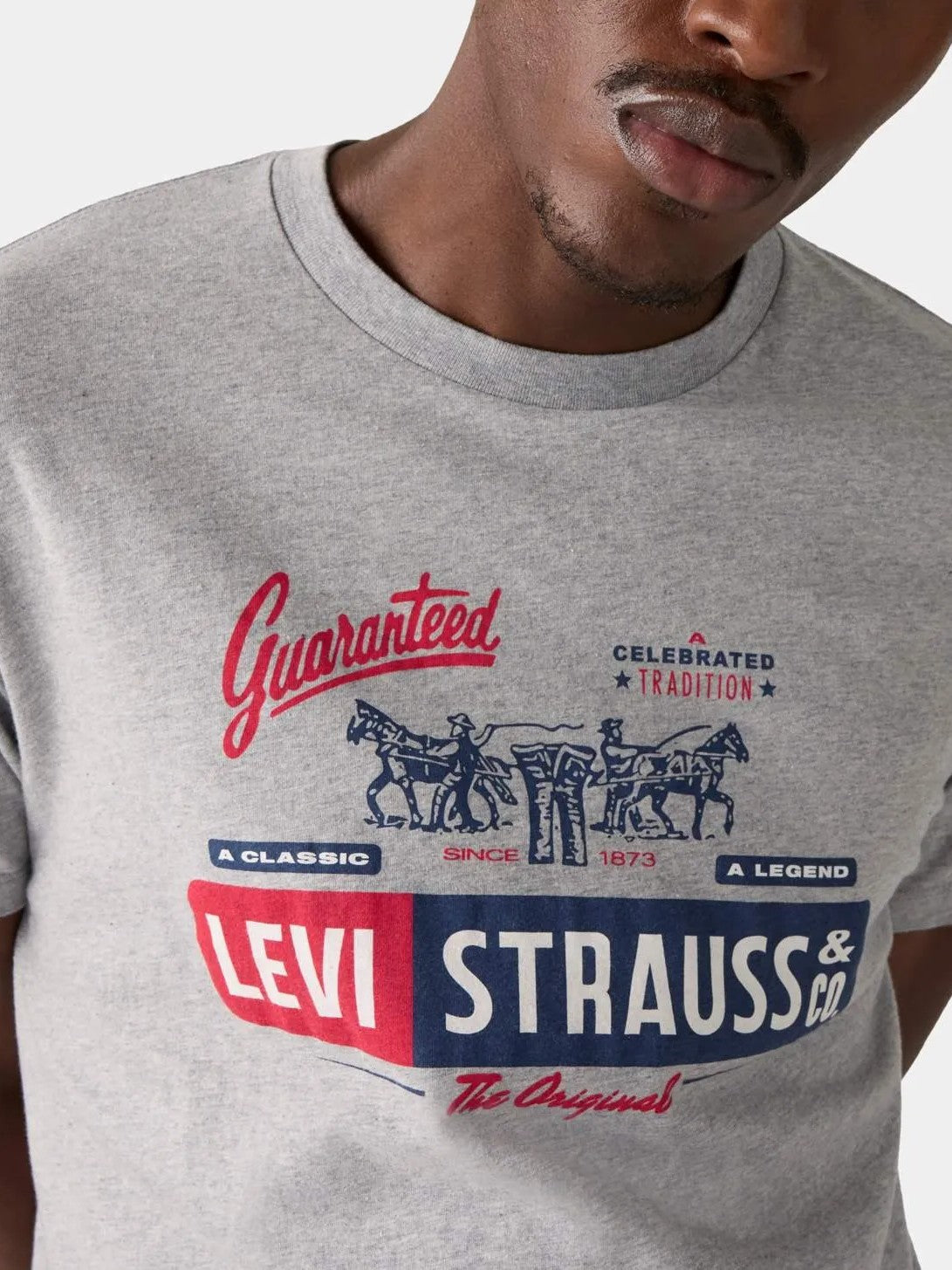 Levi's Men's Graphic Tee