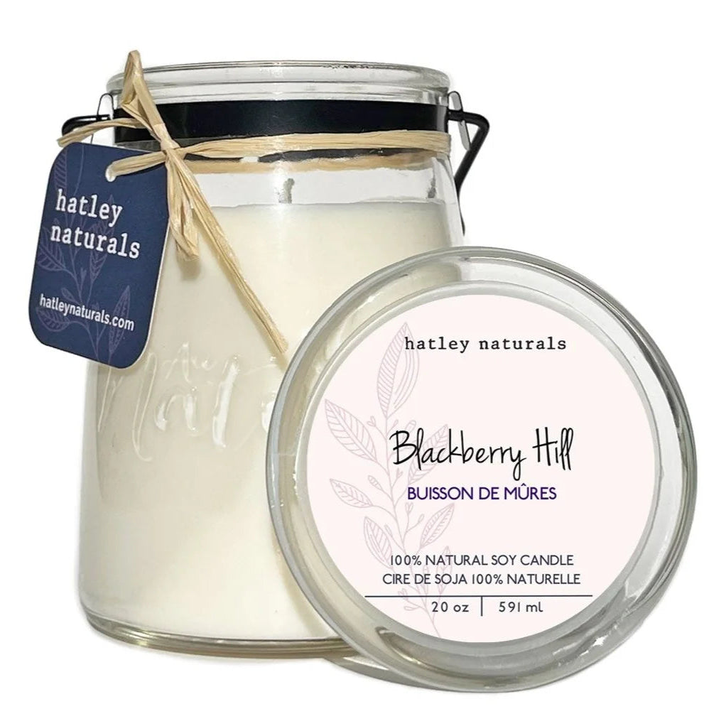 A jar candle with its lid placed in front on a white background. The candle is in a clear glass jar with white wax, a black metal wire handle, a twine bow, and a hanging blue tag reading hatley naturals.