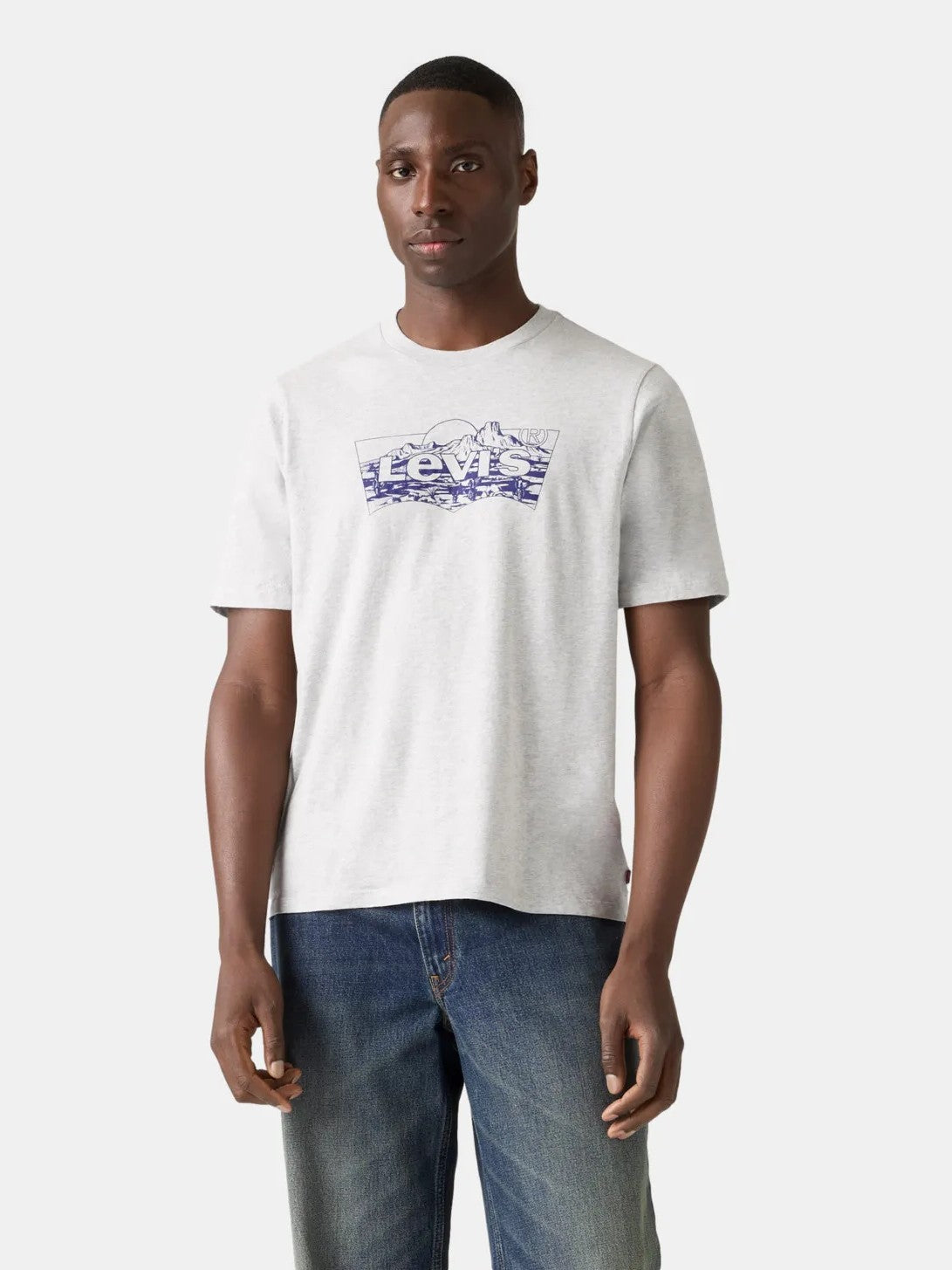 Levi's Men's Graphic Tee