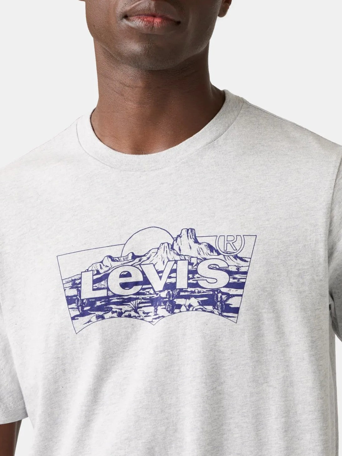 Levi's Men's Graphic Tee