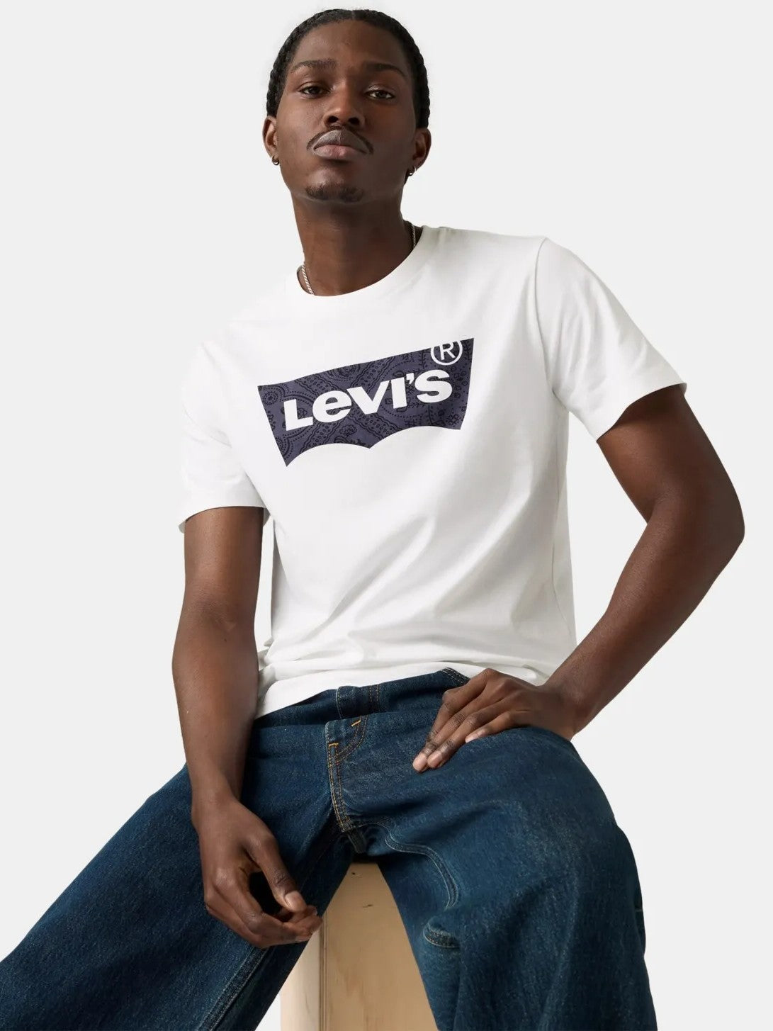 Levi's Men's Graphic Crewneck Tee