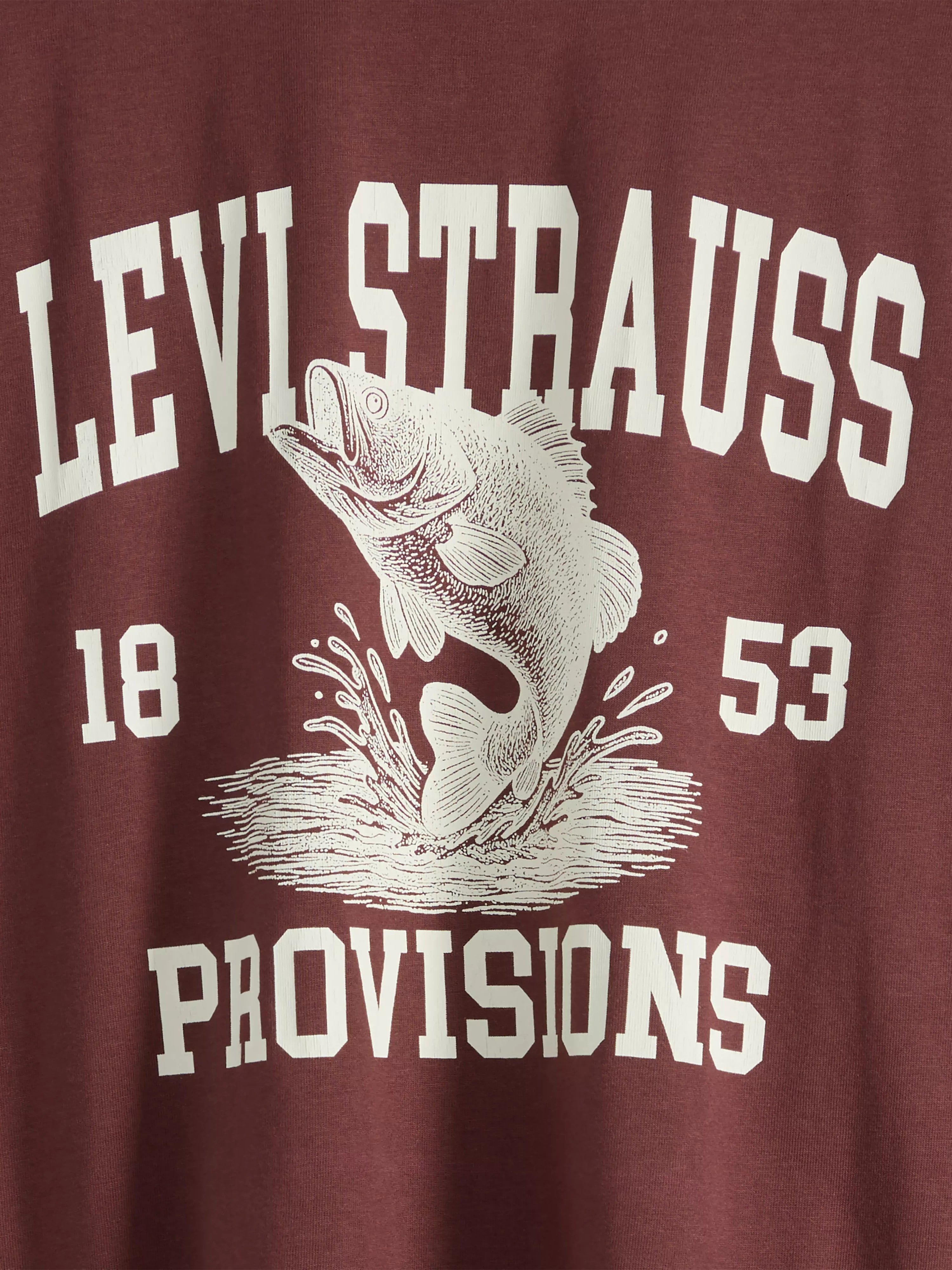 Men's Levi's Graphic T-Shirt
